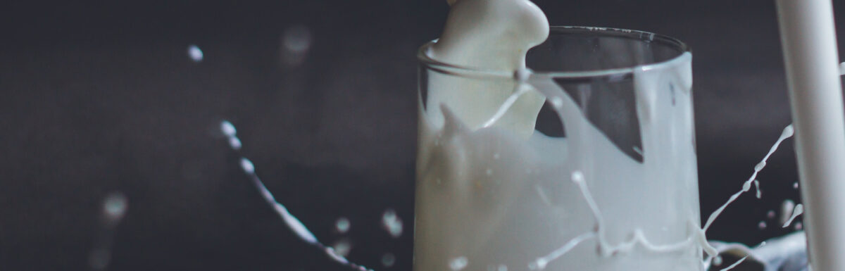 Milk 🥛